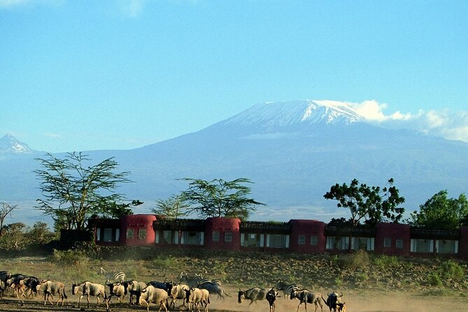 Day Tour to Amboseli National Park - Mount Kilimanjaro and the value of clear weather
