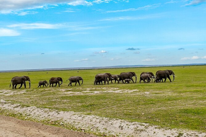 Day Tour To Amboseli National Park From Nairobi - The 5:00 A.M. Start From Nairobi