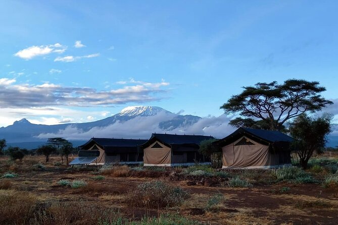 Day Tour To Amboseli National Park From Nairobi - What The $160 Price Really Gets You