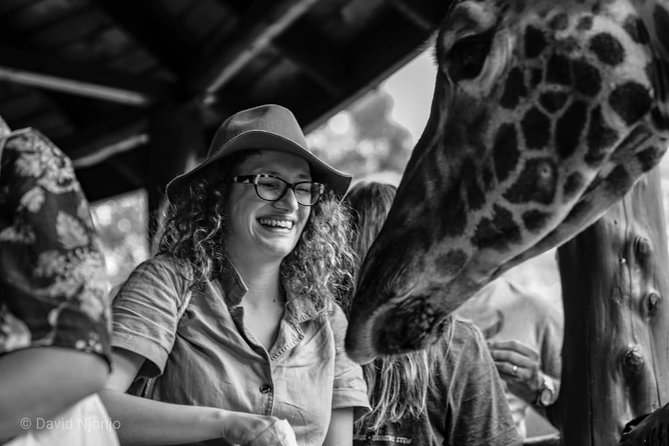 Day tour to Giraffe center and Karen Blixen Nairobi - Is $105 a fair price?