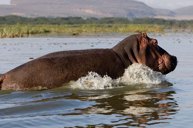Day tour to Hells Gate, Lake Naivasha and Crescent Island Walk - Leaving Nairobi at 7:00 a.m. for the Rift Valley