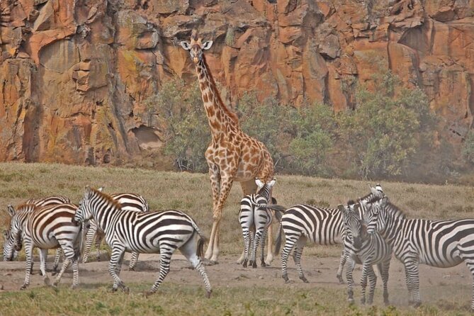 Day tour to Hells Gate, Lake Naivasha and Crescent Island Walk - Lunch at Naivasha Marina Camp, at your own cost