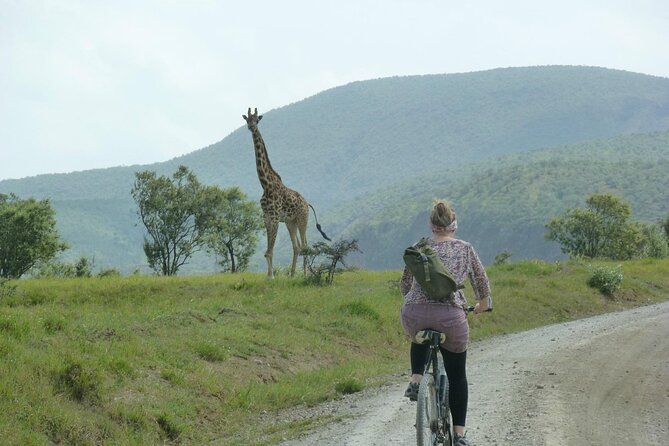 Day tour to Hells Gate, Lake Naivasha and Crescent Island Walk - Walking among wildlife on Crescent Island