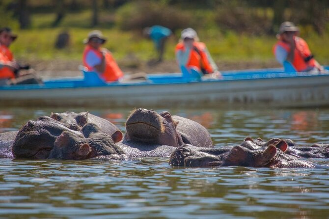 Day tour to Hells Gate, Lake Naivasha and Crescent Island Walk - Back to Nairobi by about 5:00 p.m.