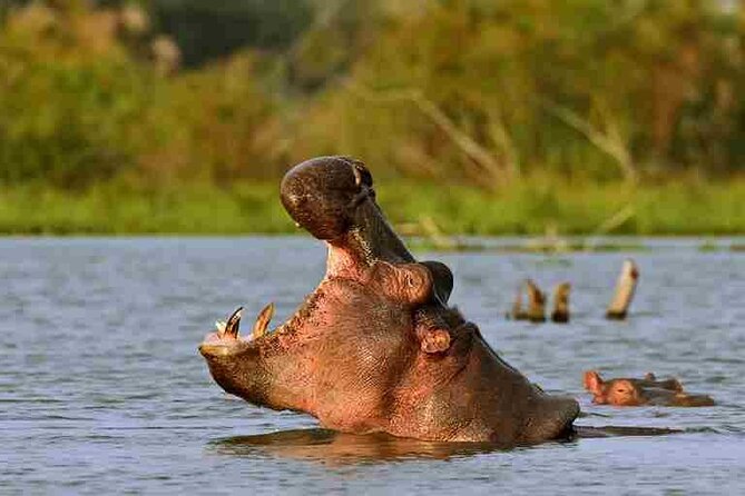 Day tour to Hells Gate, Lake Naivasha and Crescent Island Walk - Is $160 a fair price for this Nairobi day trip?
