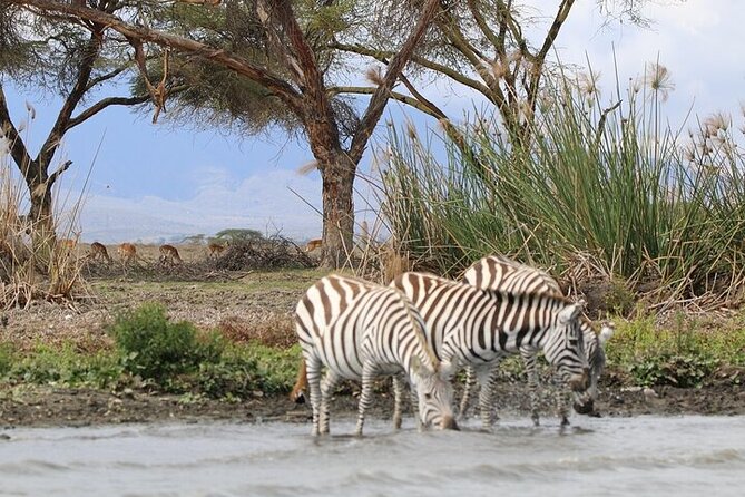 Day Tour to Hells Gate National Park - Why Hell’s Gate feels different from a regular safari