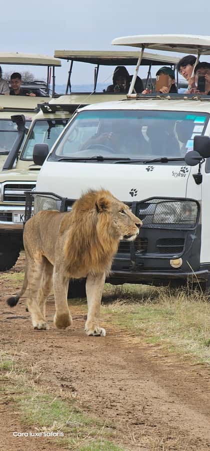 Day Tour to Hells Gate National Park&Lake Laivasha boat Ride - From Nairobi to the Great Rift Valley viewpoint