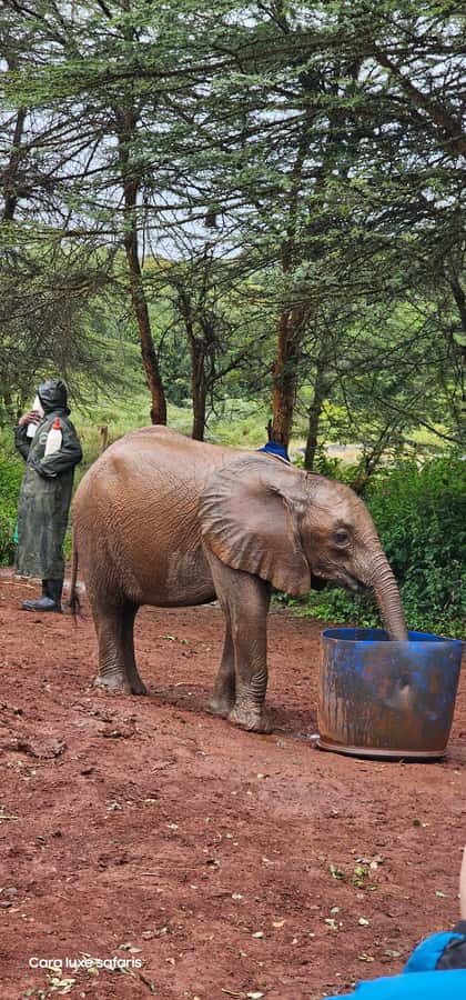 Day Tour to Hells Gate National Park&Lake Laivasha boat Ride - Lake Naivasha by motorboat