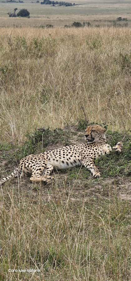 Day Tour to Hells Gate National Park&Lake Laivasha boat Ride - What the $95 price really includes