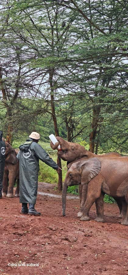 Day Tour to Hells Gate National Park&Lake Laivasha boat Ride - Who will enjoy this day most