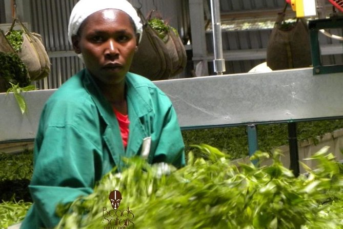 Day Tour To Kiambethu Tea Farm in Limuru - Leaving Nairobi for Limuru tea country