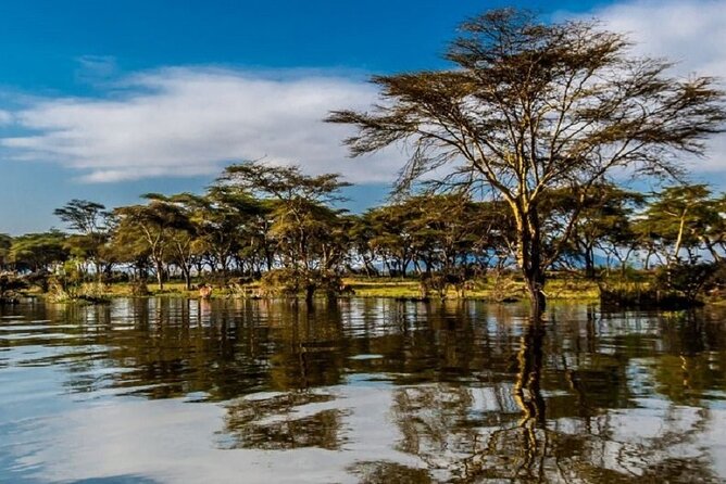 Day Tour to Lake Nakuru with optional boat ride in Lake Naivasha - Adding the one-hour Lake Naivasha boat ride