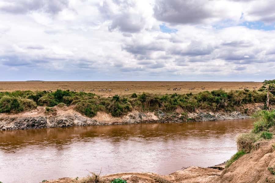 Day Tour to Maasai Mara & optional Maasai village visit - The 5am departure from Nairobi