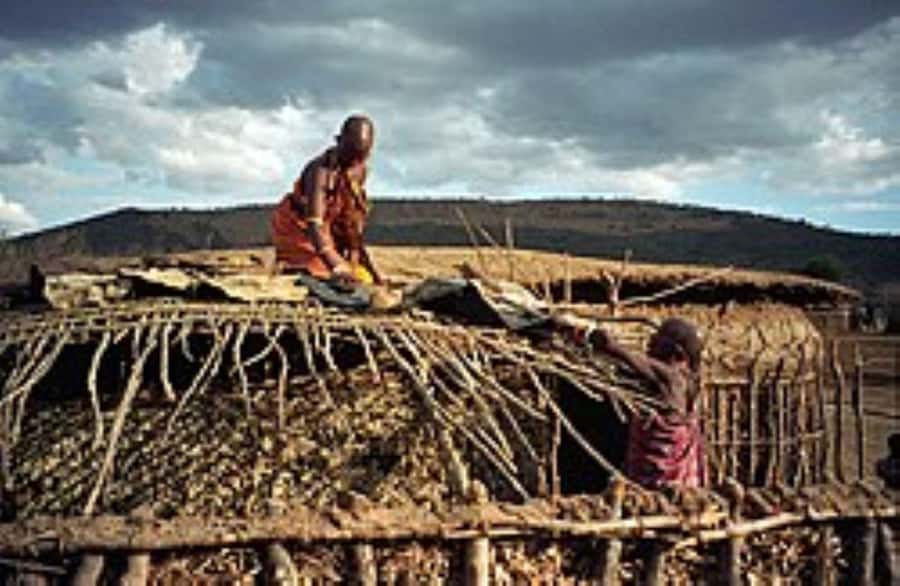 Day Tour to Masai Village From Nairobi - Homes, farming, and practical traditions
