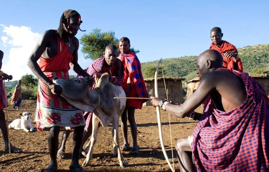 Day Tour to Masai Village From Nairobi - The return to Nairobi and practical timing
