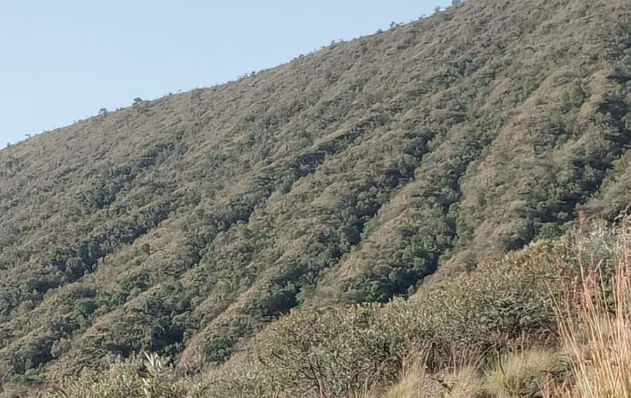 DAY TOUR TO MOUNT LONGONOT NATIONAL PARK- WITH PARK FEES - Climbing Mount Longonot to the crater rim
