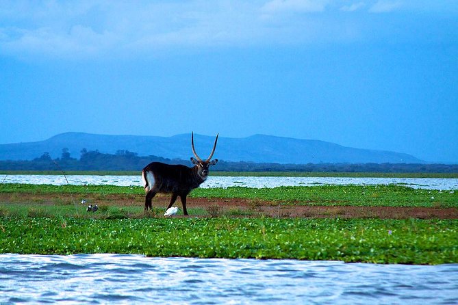 Day tour to mount Longonot park from Nairobi - Who will enjoy this tour most