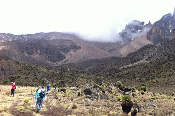 Day Tour To Mt Kenya - Key points to know before you book