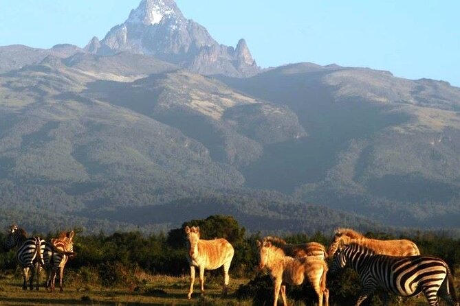 Day Tour To Mt Kenya - A steep three-hour climb through Mount Kenya’s upper zones