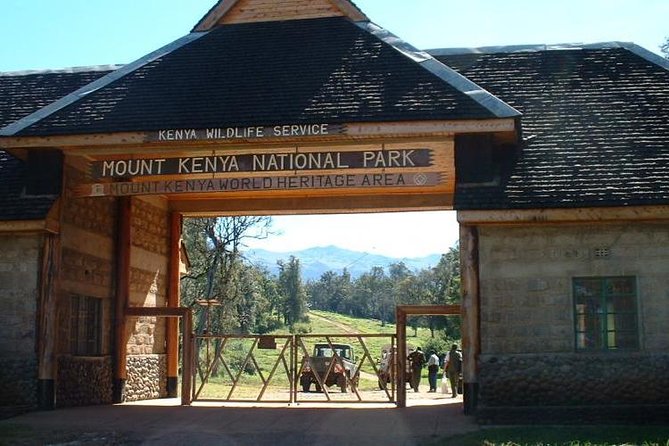 Day Tour To Mt Kenya - The viewpoint at 3,700 to 3,800 meters