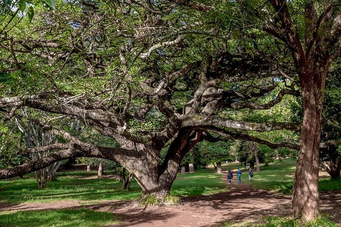 Day Tour to Nairobi Arboretum and Nairobi National Museum - Key points to know before booking