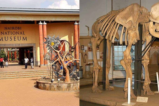 Day Tour to Nairobi Arboretum and Nairobi National Museum - What the three-hour museum visit adds