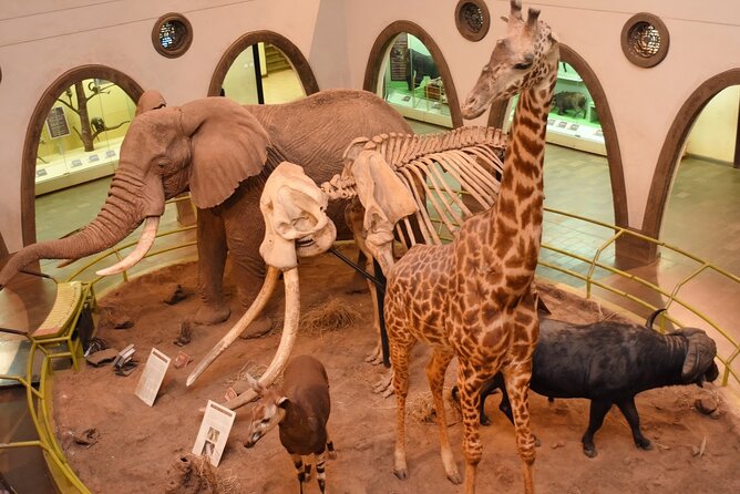 Day Tour to Nairobi Arboretum and Nairobi National Museum - Walking through Nairobi Arboretum’s 350-plus plant species
