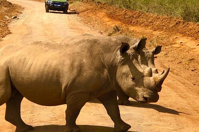 Day Tour to Nairobi National Park and Giraffe Center - What the $180 Price Really Buys