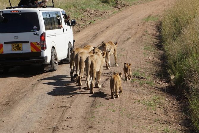 Day Tour to Nairobi National Park and Giraffe Center - Should You Book This Nairobi Wildlife Day?