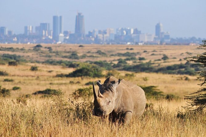 Day Tour to Nairobi National Park and Giraffe Center - FAQ