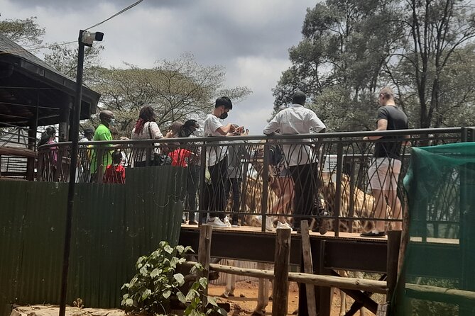 Day Tour to Nairobi national park, Elephants, and Giraffe Center - Nairobi National Park and the limits of a short game drive