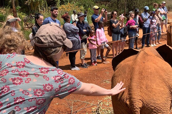 Day Tour to Nairobi national park, Elephants, and Giraffe Center - Lunch, timing, and the day’s practical rhythm