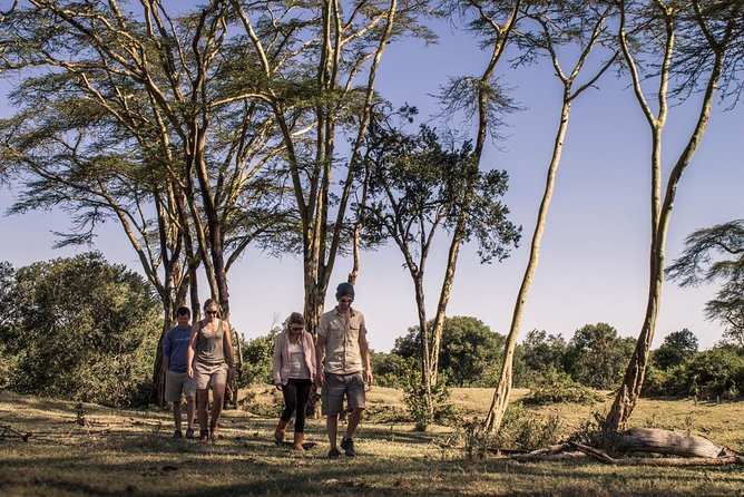 Day Tour to Ol Pejeta Conservancy - Serena Sweetwaters Lodge at midday