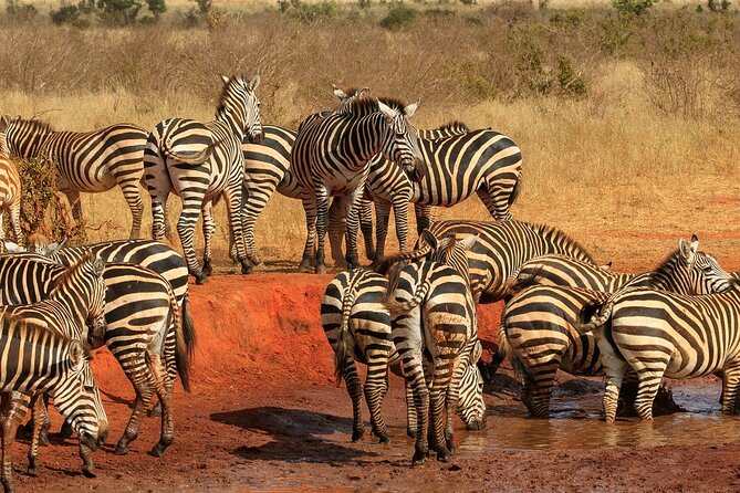 Day Tour to Tsavo East National Park from Mombasa or Diani - What the $280 price really covers