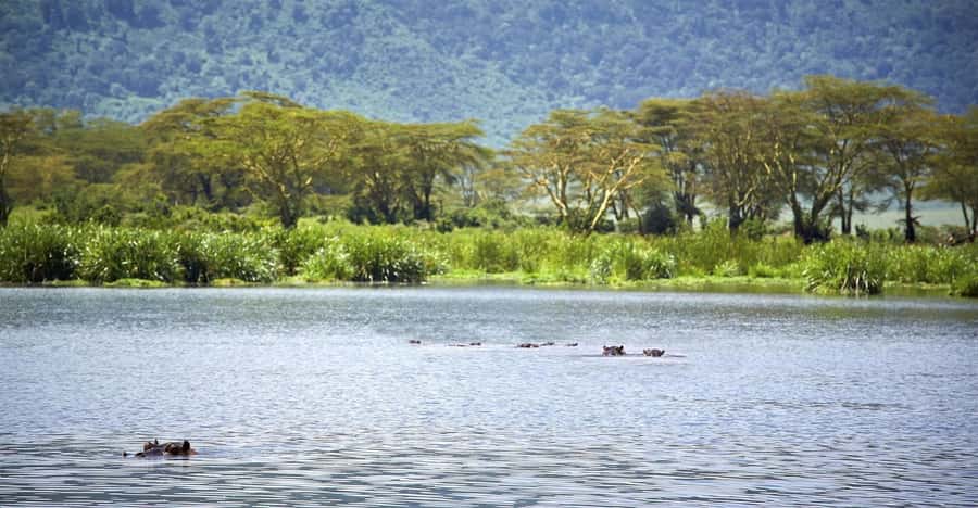 Day Trip: Hell's Gate Bike Ride & Lake Naivasha Boat Ride - Hell’s Gate Gorge and its geothermal rock walls