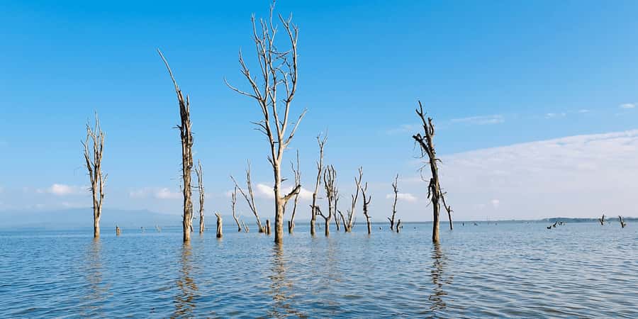 Day Trip: Hell's Gate Bike Ride & Lake Naivasha Boat Ride - Lunch near the park, and the cost question
