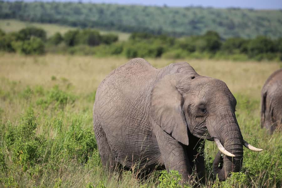 Day Trip: Hell's Gate Bike Ride & Lake Naivasha Boat Ride - Who will enjoy this tour most?