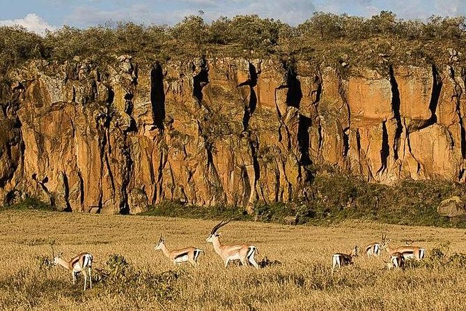 Day trip Hells gate Lake Naivasha best private safari - The Rift Valley viewpoint sets the tone