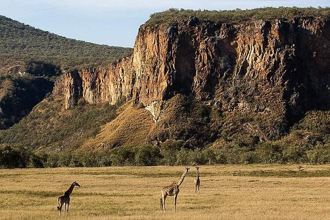 Day trip Hells gate Lake Naivasha best private safari - Lunch before the more active park visit