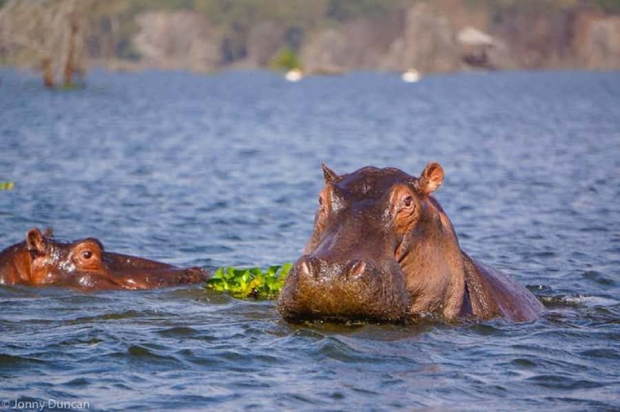 Day trip lake Naivasha and Hells gate - Optional time by the water