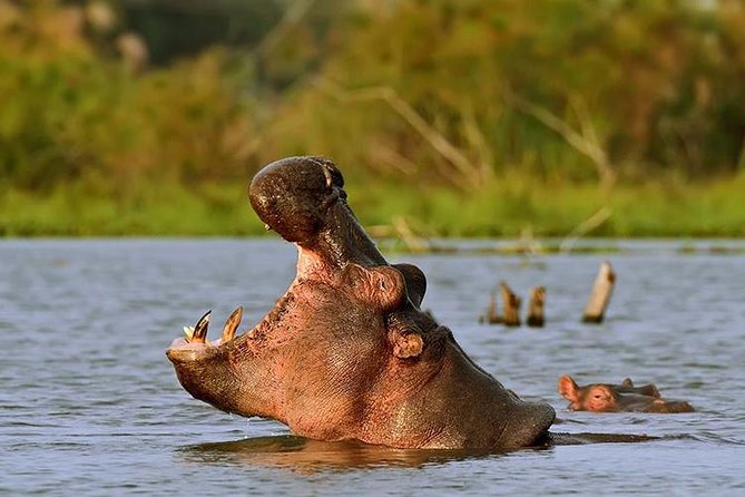 Day Trip - Lake Naivasha & Hell's Gate National Park From Nairobi - The practical side of cycling at Hell’s Gate