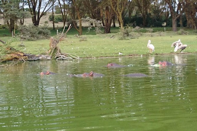 Day Trip - Lake Naivasha & Hell's Gate National Park From Nairobi - What the $53 price really includes