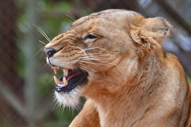 Day trip - Lake Nakuru National Park Tour From Nairobi - The guide can shape the whole day
