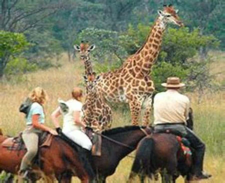 Day Trip Naivasha Hell's Gate Park, Horse Riding Sanctuary - What the $300 price really covers