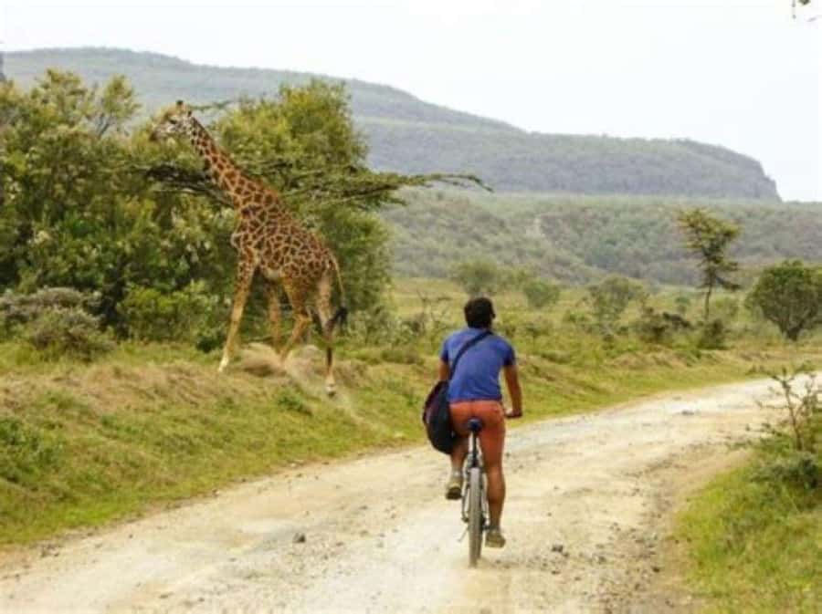 Day Trip Naivasha Hell's Gate Park, Horse Riding Sanctuary - Walking below the gorge walls