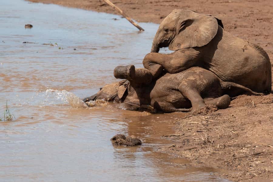 Day Trip to Amboseli National Park from Nairobi - Entering Amboseli National Park