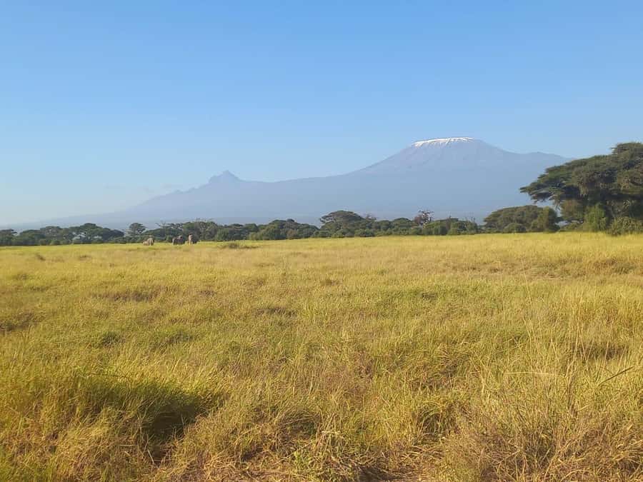 Day trip to Amboseli National park from Nairobi - Who should book this Amboseli day trip?