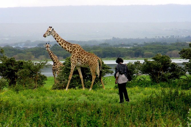 Day Trip to Hell's Gate & Optional Boat Ride at Lake Naivasha - Crater Lake’s green water and birdlife