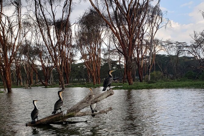 Day trip to Hells Gate National Park with boat ride on Lake Naivasha - Leaving Nairobi at 7:00 a.m.