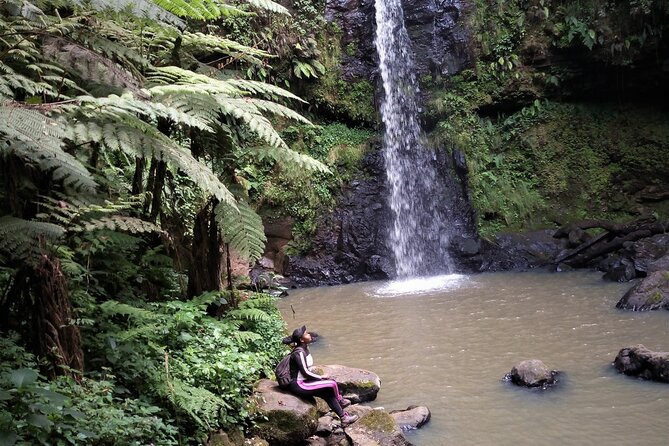Day Trip to Kereita Forest and Ziplining - Ziplining over the forest